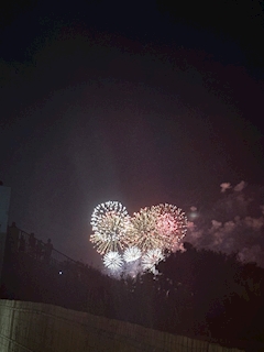 くるみ