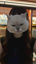 かなこ