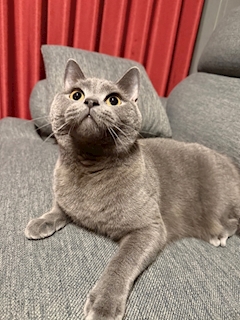 藤堂 るな「🦭」