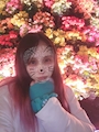 chiko
