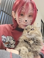 chiko