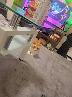 🖤三田 るかたろす💜