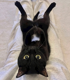 おはようございます‼️