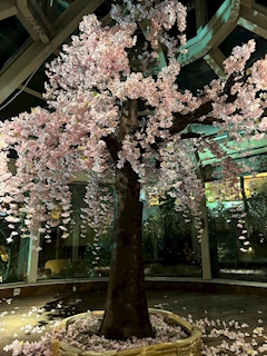 プロフィール写真1・かずみ｜Lounge R&K+u・アールアンドケープラスユー - 多賀城のスナック