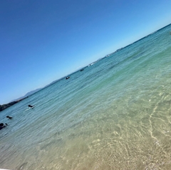 なつみ「うーーーみーーー」