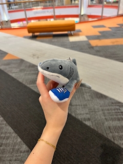 美海「こんばんはー！！」