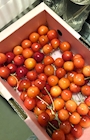 新着ブログ ⊂( ᴖ ̫ᴖ )⊃🍒