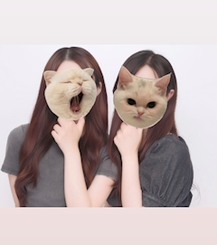 ねね「プリクラ500円の時代怖い 💭」