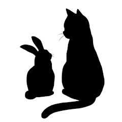 プロフィール写真2・体験|Snack Bar 兎&黒猫・うさぎとくろねこ - 名古屋 錦のスナック