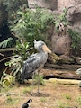 新着ブログ 癒された🤍