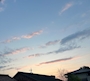 新着ブログ こんばんは~!!!