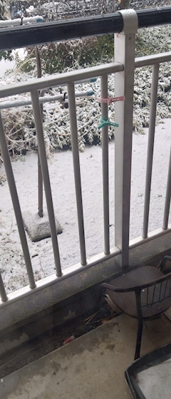 ひとみ