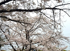 🫣////りおな🎤💓