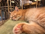 新着ブログ お休みなさい😴💤