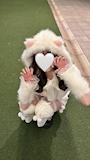 chiko