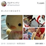 chiko