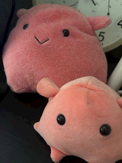 ななりー 🧸【千葉THE FACTORY】「3.25.wed 27/33」