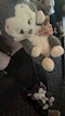 プロフィール写真15・ななりー 🧸【千葉THE FACTORY】｜THE FACTORY・ザ・ファクトリー - 千葉・富士見町のガールズバー