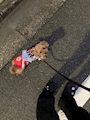 新着ブログ 祭