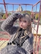 プロフィール写真12・🐰つゆ🐰姫路Alice♥️|うさみみカフェ&バー Alice・アリス - 姫路のコンカフェ