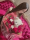 プロフィール写真1・🌸🌺🎀かすみ🎀🌺🌸|club 花さくら・ハナサクラ - 中洲のキャバクラ