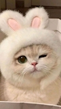 如月 ゆりな