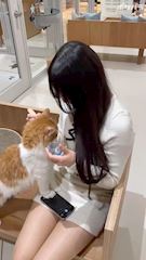 さーたんのプロフ動画