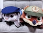 chiko