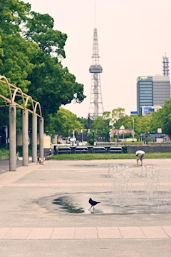 プロフィール写真1・ともちゃん|crow・クロー - 小牧のガールズバー