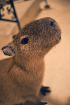 プロフィール写真7・ともちゃん|crow・クロー - 小牧のガールズバー