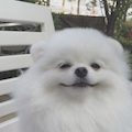 のあ