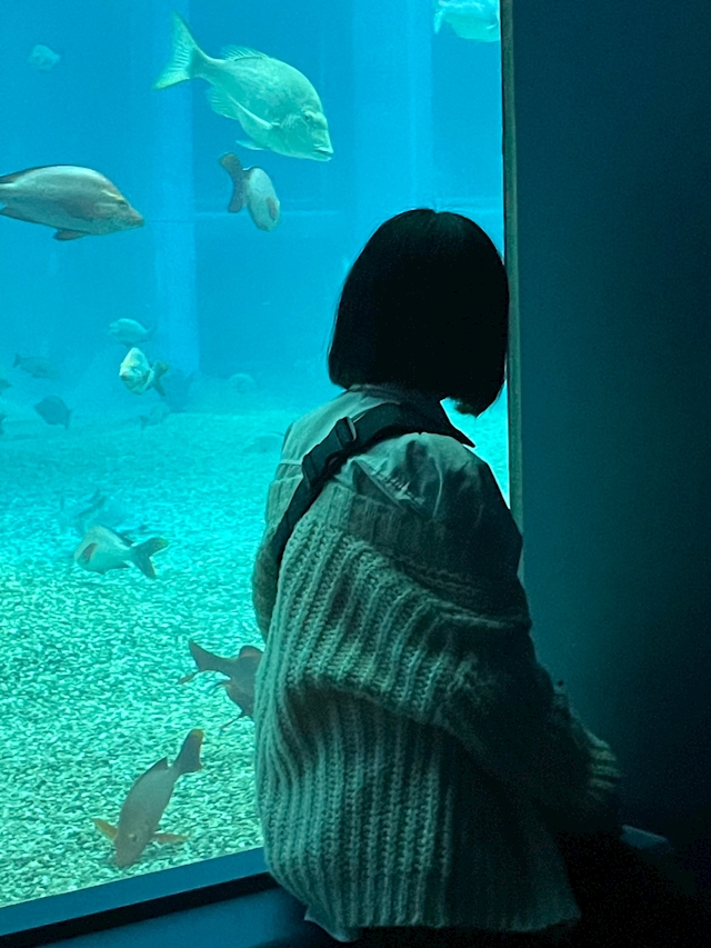 あん