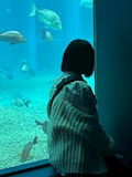 あん