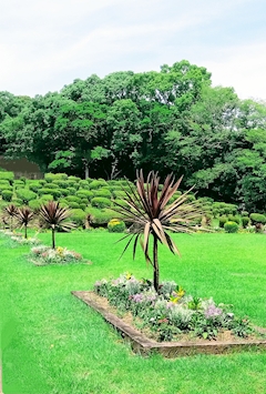プロフィール写真9・✴️🌴✴️藤沢　雅✴️🌴✴️｜宮崎 キャバクラ・万葉