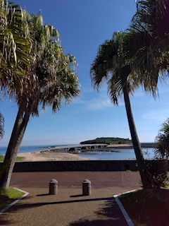 プロフィール写真6・✴️🌴✴️藤沢　雅✴️🌴✴️｜宮崎 キャバクラ・万葉