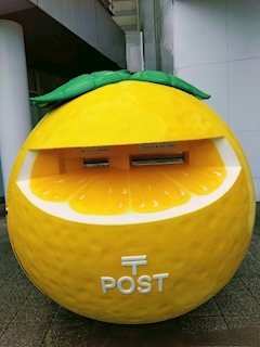 プロフィール写真13・✴️🌴✴️藤沢　雅✴️🌴✴️｜宮崎 キャバクラ・万葉