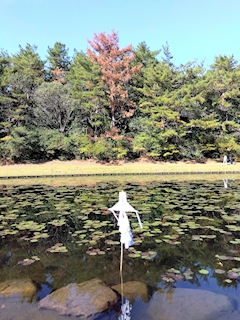 プロフィール写真17・✴️🌴✴️藤沢　雅✴️🌴✴️｜宮崎 キャバクラ・万葉