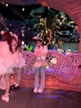 新着ブログ 🌊🐭🌎