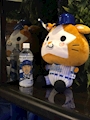 chiko