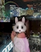 プロフィール写真1・うさぎ🐰🤍｜CLUB TMC・クラブティーエムシー - 田町のキャバクラ