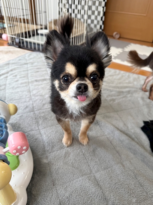 プロフィール写真2・きらり｜