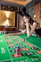 プロフィール写真2・えり|BEAUTY LOUNGE DAISY・デイジー - 水道橋のキャバクラ