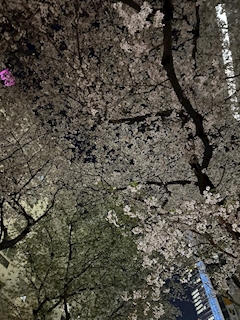あやか
