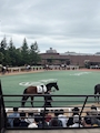新着ブログ 🐎🐎🐎