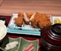 新着ブログ 🐈