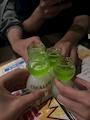 新着ブログ 🫛