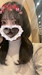 プロフィール写真2・ゆりか｜N°21・ナンバートゥエンティーワン - 川崎駅前のガールズバー