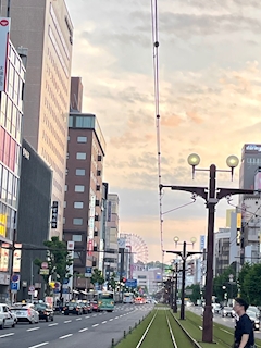 おもち「🌆夕暮れ🌆」