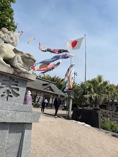 おもち「🌺🌴🍹✨💕🐠🌴」