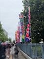 chiko